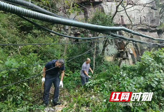 野跑体育竞 野跑体育竞